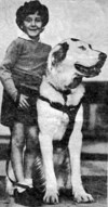 Art loved his dog "King Pharrah"